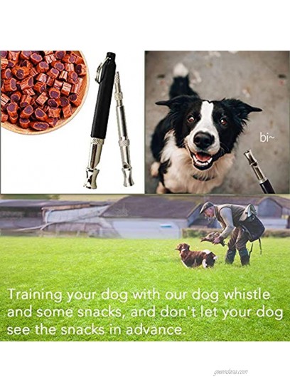 Loyalland Dog Whistle with Free Lanyard Adjustable Frequencies Ultrasonic Stainless Steel Dog Training Tool to Stop Barking Action Control Tool for Dog