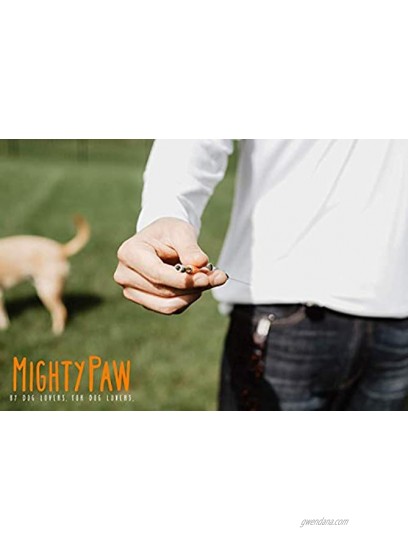 Mighty Paw Training Whistle Silent Dog Whistle with Retractable Belt Attachment and Neck Lanyard No Bark Dog Training Tool for Obedience and Recall