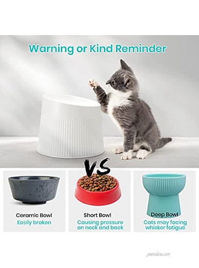 iPettie Elevated Cat Food Bowl Cat Dish Tilted Pet Feeding Station with Stand for Small Dog Made from Certified Food-Safe Plastics Better Than Stainless Steel and Ceramic