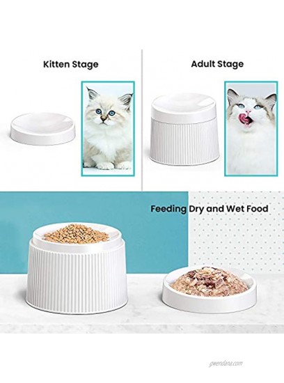 iPettie Elevated Cat Food Bowl Cat Dish Tilted Pet Feeding Station with Stand for Small Dog Made from Certified Food-Safe Plastics Better Than Stainless Steel and Ceramic