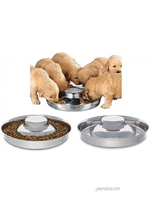 King International Stainless Steel Dog Bowl 2 Puppy Litter Food Feeding Weaning|SilverStainless Dog Bowl Dish| Set of 2 Pieces | 29 cm for Small Medium Large Dogs Pets Feeder Bowl and Water Bowl
