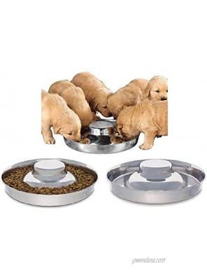 King International Stainless Steel Dog Bowl 3 Puppy Litter Food Feeding Weaning|SilverStainless Dog Bowl Dish| Set of 3 Pieces | 29 cm for Small Medium Large Dogs Pets Feeder Bowl and Water Bowl