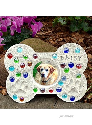 Midwest Products Pet Photo Stepping Stone Kit