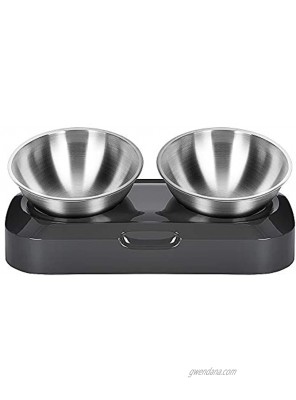 JEROCK Tilted Cat Food Bowls Stainless Steel Elevated Stand 15° Slanted Raised Small Dogs Food and Water Bowls Set Anti Vomiting and Non Slip Double Feeding Dishes for Pets