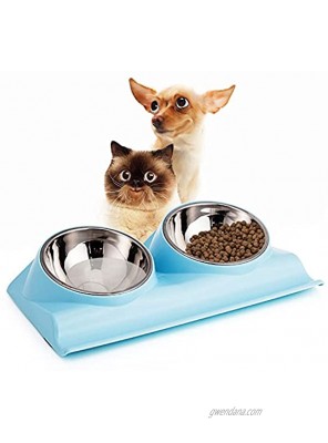 Suhaco Dog Bowl Cat Food Bowls Double Raised Pet Elevated Stainless Steel Feeder with Tilted Stand