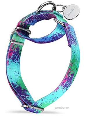 Dazzber Martingale Dog Collars Colourful Oil Painting Pattern Series No Pull Pet Collar Silky Soft for Medium and Large Dogs
