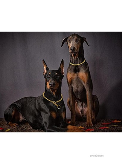 Didog Luxury Titan Choke Chain Collar,Dog Training Collars,Best for Pit Bull Doberman,Mastiff Bulldog