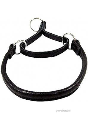 Dogline 1 4-Inch Wide Soft Rolled Genuine Leather Martingale Collar 12-Inch Black