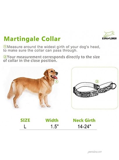 EXPAWLORER Martingale Collars for Dogs Adjustable Training Heavy Duty Nylon Collar for Walking Hiking Running with Pattern for Medium to Large Dog