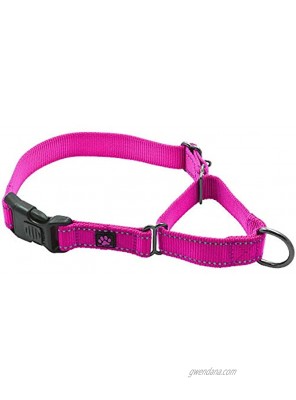 Max and Neo Nylon Martingale Collar We Donate a Collar to a Dog Rescue for Every Collar Sold