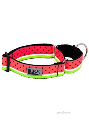 RC Pets 1-1 2 Inch All Webbing Martingale Training Dog Collar Large Watermelon