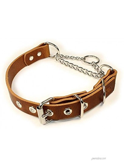 sleepy pup Adjustable Leather Martingale Chain Limited Slip Half-Check Chain Training Dog Collar
