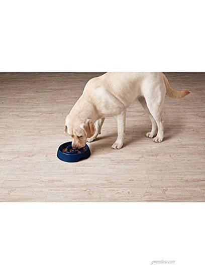 Petco Brand Harmony Navy Plastic Slow Feeder Dog Bowl