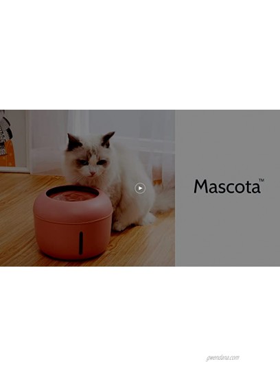 Mascota Cat Water Fountain with Auto Shut-Off Pump BPA-Free Pet Fountain 84oz 2.5L Ultra Silent Automatic Water Bowl Dispenser with Filters for Cats & DogsWhite