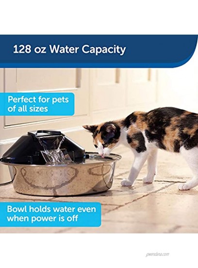 PetSafe Drinkwell Zen Stainless Steel Dog and Cat Water Fountain Pet Drinking Fountain 128 oz. Water Capacity
