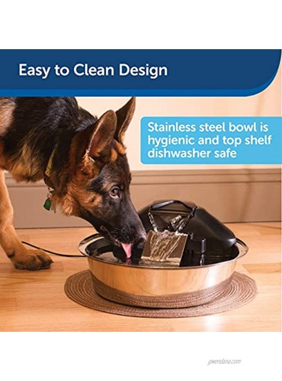 PetSafe Drinkwell Zen Stainless Steel Dog and Cat Water Fountain Pet Drinking Fountain 128 oz. Water Capacity