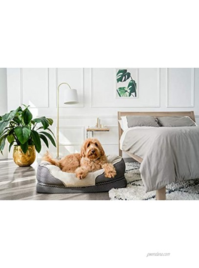 BarksBar Medium Gray Orthopedic Dog Bed 32 x 22 inches Snuggly Sleeper with Solid Orthopedic Foam Extra Comfy Cotton-Padded Rim Cushion