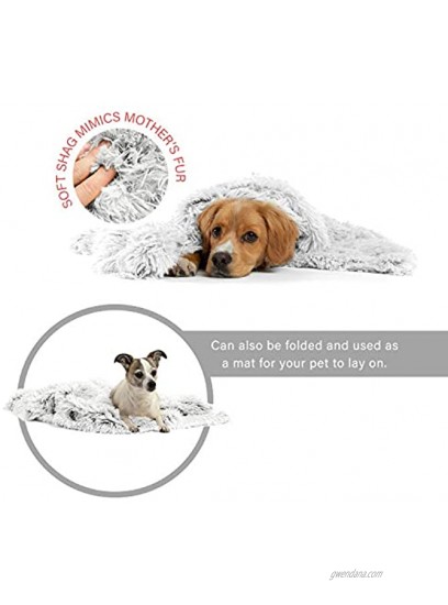 Best Friends by Sheri Luxury Shag Dog & Cat Throw Blanket 30x40 Frost Matching Donut Shag Cuddler Bed Multi-Use Mat Sofa Cover Warming PTB-SHG-FRS-3040
