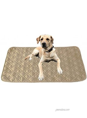 RBSC Home Anti-Slip Waterproof Dog Pad Dog Mat Rug for Small Dogs 2 Pack 30x30 Inch Reusable Puppy Pad for Training or Food