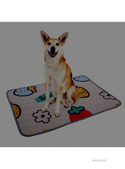ROZKITCH Pet Cooling Mat for Dog Cat Summer Self Cool Bed Pad Comfortable Durable Ice Silk Sleeping Cushion for Indoor & Outdoor Kennels Crate Washable Portable Camping Travel Mat 33x23
