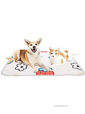 ROZKITCH Pet Cooling Mat for Dog Cat Summer Self Cool Bed Pad Comfortable Durable Ice Silk Sleeping Cushion for Indoor & Outdoor Kennels Crate Washable Portable Camping Travel Mat 33x23