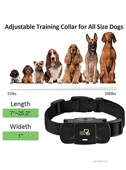 Dog Training Collar Receiver Dogcare Rechargeable Shock Collar Receiver Training Collar with Adjustable Collar Dog