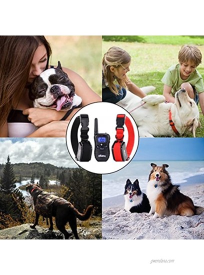 Exuby Dual Shock Collar for Small Dogs -1 Remote 2 Receivers and 4 Straps Multi Modes Great for Discipline and Training Two Dogs at The Same Time Rechargeable Batteries