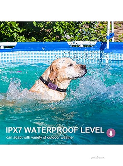 HaloPaw Dog Training Collar Rechargeable IPX7 Waterproof Shock Collars for Dogs with Remote for Large Medium Small Dogs, 3 Training Modes Beep Vibration and Shock with 16 Static Levels E-Collar