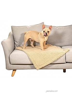 Dono 2 Pack Dog Blanket,Soft Warm Double Fleece Throw Pet Blankets for Small Large Medium Dogs and Cats Washable Puppy Blankets Use for Couch Protection Dog Bed Sofa and Car Backseat
