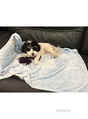 Higher Comfort Super Soft Premium Pet Blankets for Small Dogs Puppies Cats & Kittens 30 x 40 Great for Pet Beds and Carriers
