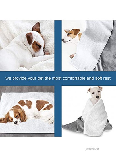 Waterproof Dog Blanket Double Sided for Multi-Use Super Soft Microfiber & Warm Sherpa for Cat Medium Dog