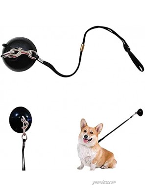 YELL Dog Bathing Suction Cup Tether,Dog Grooming Tub Restraint and Pet Bathing Tether Any Size Dog Cat
