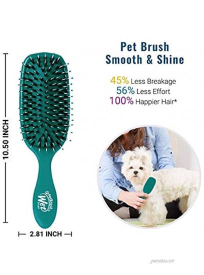 Wet Brush Pet Brush Smooth and Shine Detangle Dog and Cat Grooming Brush