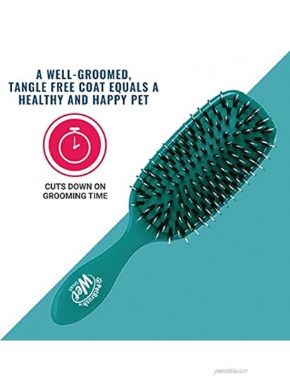 Wet Brush Pet Brush Smooth and Shine Detangle Dog and Cat Grooming Brush