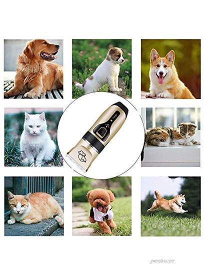 Mikayoo Pet Charging Electric Clippers,Pet Electric Shaver Cat and Dog Electric Hair Clipper,Dog Professional Beauty Trim Set Can Be Charged Electric Clipper Set Only