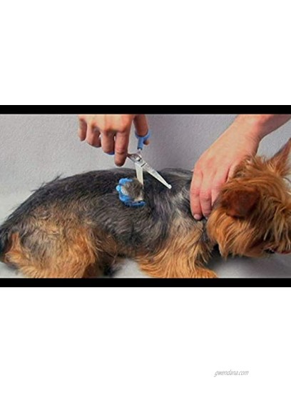 Scaredy Cut Silent Pet Grooming Kit for Dog Cat and All Pet Grooming A Quiet Alternative to Electric Clippers for Sensitive Pets