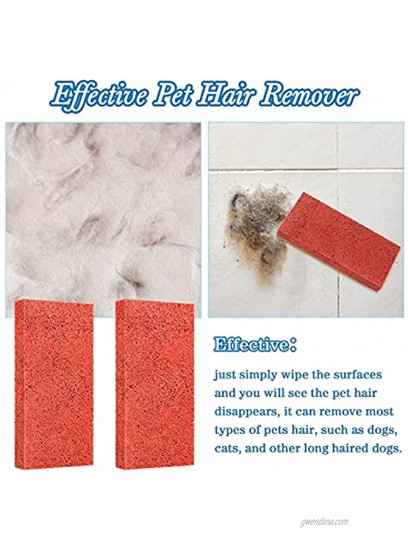 Xuniea 4 Pieces Pet Hair Remover Lifter Sponge Orange Pet Hair Lifter Easily Lift and Remove Dog Cat and Other Pet Hair from Furniture Carpet Bedding Sofa Clothing Couch