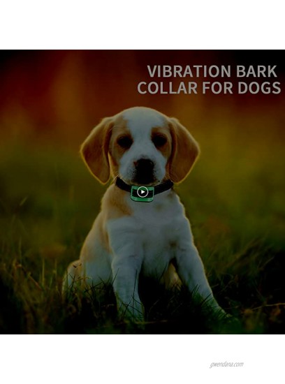 MASBRILL Small Dog Bark Collar-Effective Stop Dog Barking for Small Medium Dogs- No Harm Vibration Action Without Remote Collar-No Shock-Best Choice for Dog Lovers