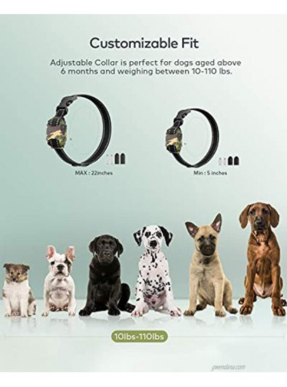 PETDIARY Bark Collar Rechargeable Barking Collar with Beep Vibration 2 Training Modes for Small Medium Large Dogs