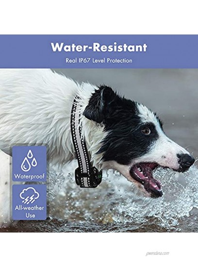 rabbitgoo Bark Collar Dog Bark Collar with USB Rechargeable Waterproof No Barking Device for Dogs with 5 Adjustable Sensitivity Beep Vibration No Harm Shock Bark Collar for Small Medium Large Dogs