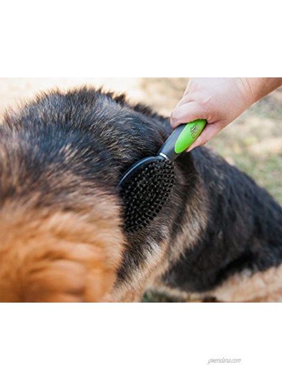 Pet Magasin Professional Grooming Brushes Pack of 3 Double Sided Brush Long Tooth Undercoat Dog Rake & De-Matting Comb for Dogs Cats & Other Animals Green & Black DogBrushesTop