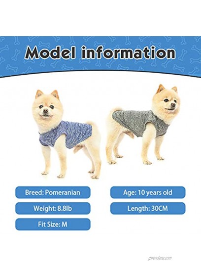 Dog Cooling Shirt 2 Packs Soft Breathable Shirt Self Cooling Absorb Water and Evaporate Quickly Sleeveless Vest for Small Medium Dogs Cats Puppy