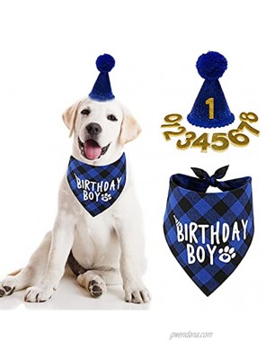 Dog Birthday Party Supplies Boy Dog Birthday Bandana Scarf and Dog Birthday Hat with Number.