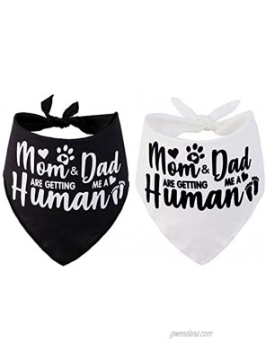 JPB Mom&Dad are Getting me a Human,2 Pack Gender Reveal Dog Bandana