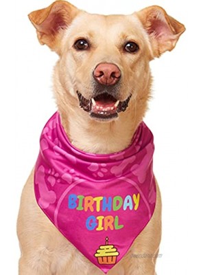 Odi Style Dog Bandana Girl for Dog Birthday Dog Birthday Bandana for Small Medium Large Dogs Bandana for Dogs Puppy Birthday Party Happy Birthday Girl Dog Bandana Pink