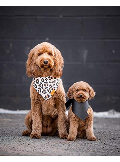 Remy+Roo Dog Bandanas 2 Pack | Boujee Set | Premium Durable Fabric | Unique Shape | Adjustable Fit | Multiple Sizes Offered