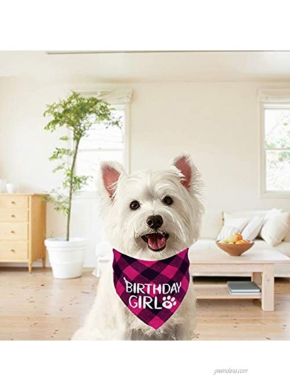 STMK Dog Birthday Bandana Dog Birthday Girl Bandana Triangle Scarf for Dog Puppy Birthday