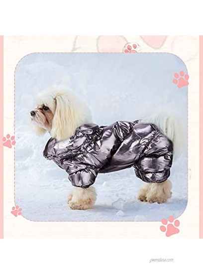 2 Pieces Winter Puppy Dog Coat Fleece Padded Pet Clothes Windproof Warm Snowsuit S Size for Small Dogs Golden and Silver