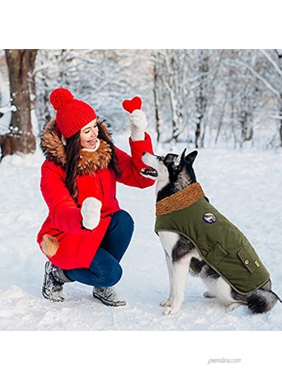 IREENUO Dog Winter Jacket Waterproof Dog Raincoat for Medium Large Dogs Warm Dog Coat for Fall Winter