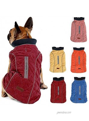 Pethiy Dog Cold Weather Vest Waterproof Windproof Reversible Dog Apparel Winter Coat Warm Dog Outfits for Small Dogs